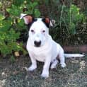 Photo of Xander