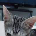 Photo of Jun