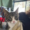 Photo of Menimo