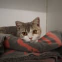 Photo of Puddin