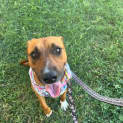 Photo of Bon Bon