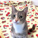 Photo of Jane