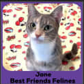 Photo of Jane