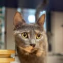 Photo of Sally