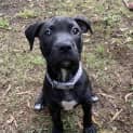Photo of Squirt