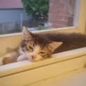 Photo of Twix