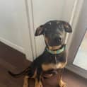 Photo of Koochie 
