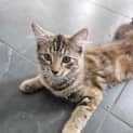 Photo of Anya