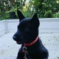 Photo of Rosie