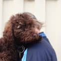 Photo of Gertie