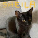 Photo of Sheila