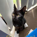 Photo of Betty