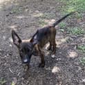 Photo of Zeus