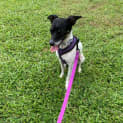 Photo of Suzi