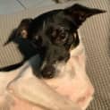 Photo of Suzi