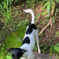 Photo of Suzi