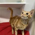Photo of Eve