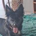Photo of Lulu