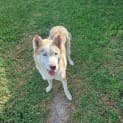 Photo of Cleo