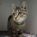 Photo of Mimi