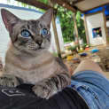 Photo of Sookie