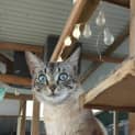 Photo of Sookie