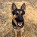Photo of Zeus