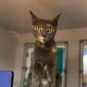 Photo of Sally
