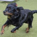 Photo of Marly