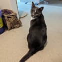 Photo of Leroy