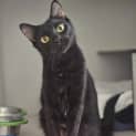 Photo of Milo