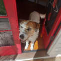 Photo of Cherry