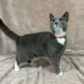 Photo of Rosie