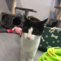 Photo of Tori