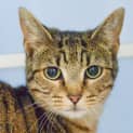 Photo of Lulu