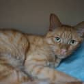 Photo of Sunny