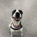 Photo of Tilly
