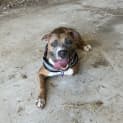 Photo of Clyde