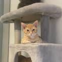 Photo of Crumpet