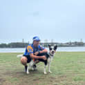 Photo of Zeus   2 Year Old Border Collie X (Trial)