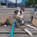Photo of Milla