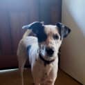 Photo of Edie