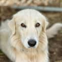 Photo of Jocie
