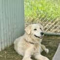 Photo of Jocie