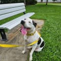 Photo of Moogoo