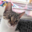 Photo of Marlo