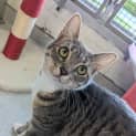 Photo of Diamond