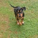 Photo of Bonita
