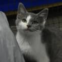 Photo of Bounty