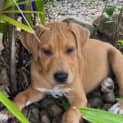 Photo of Mojito